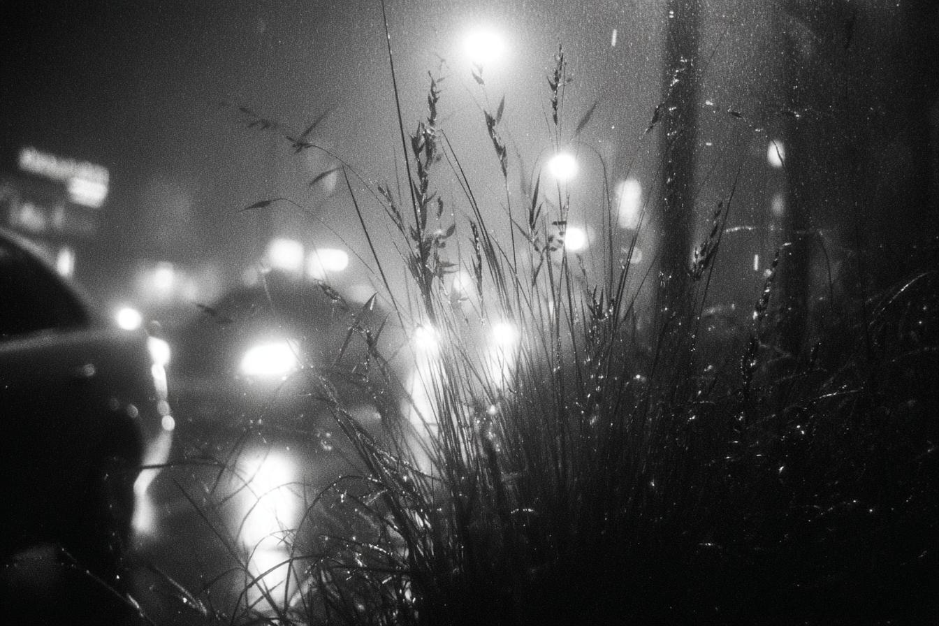 Canon Ae 1   Kodak T Max 400 50mm F2 Iso 400 1125s Heavy Grai