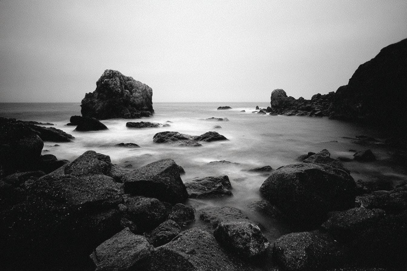 Kodak Retina Iiic   Ilford Panf 50 35mm F8 Iso 50 1125s Extre