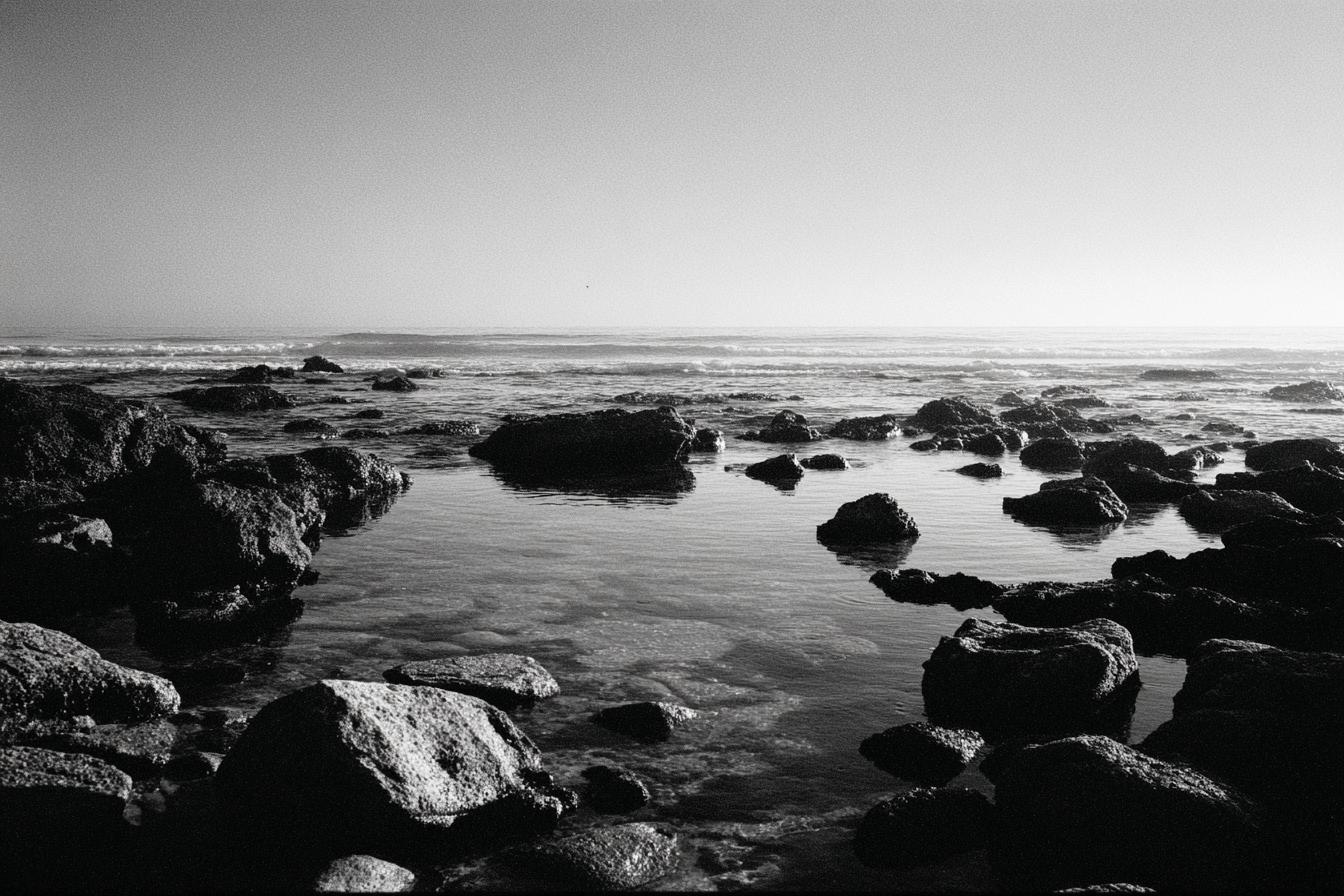 Leica M6   Ilford Panf 50 35mm F8 Iso 50 1125s Extremely Fine