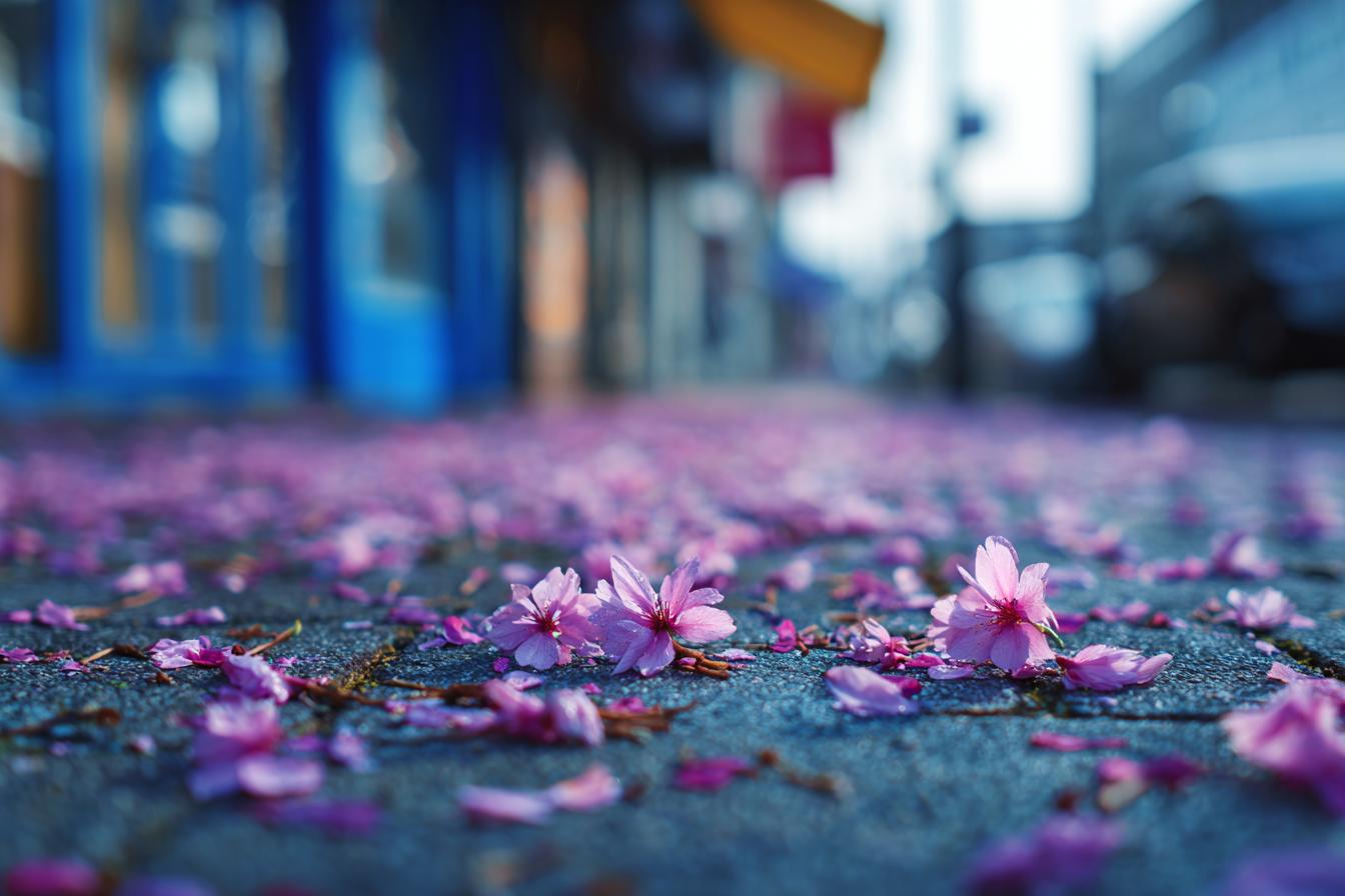 Nikon D500   35mm F2.2 Iso 160 1640s Vivid Nikon Color Scienc